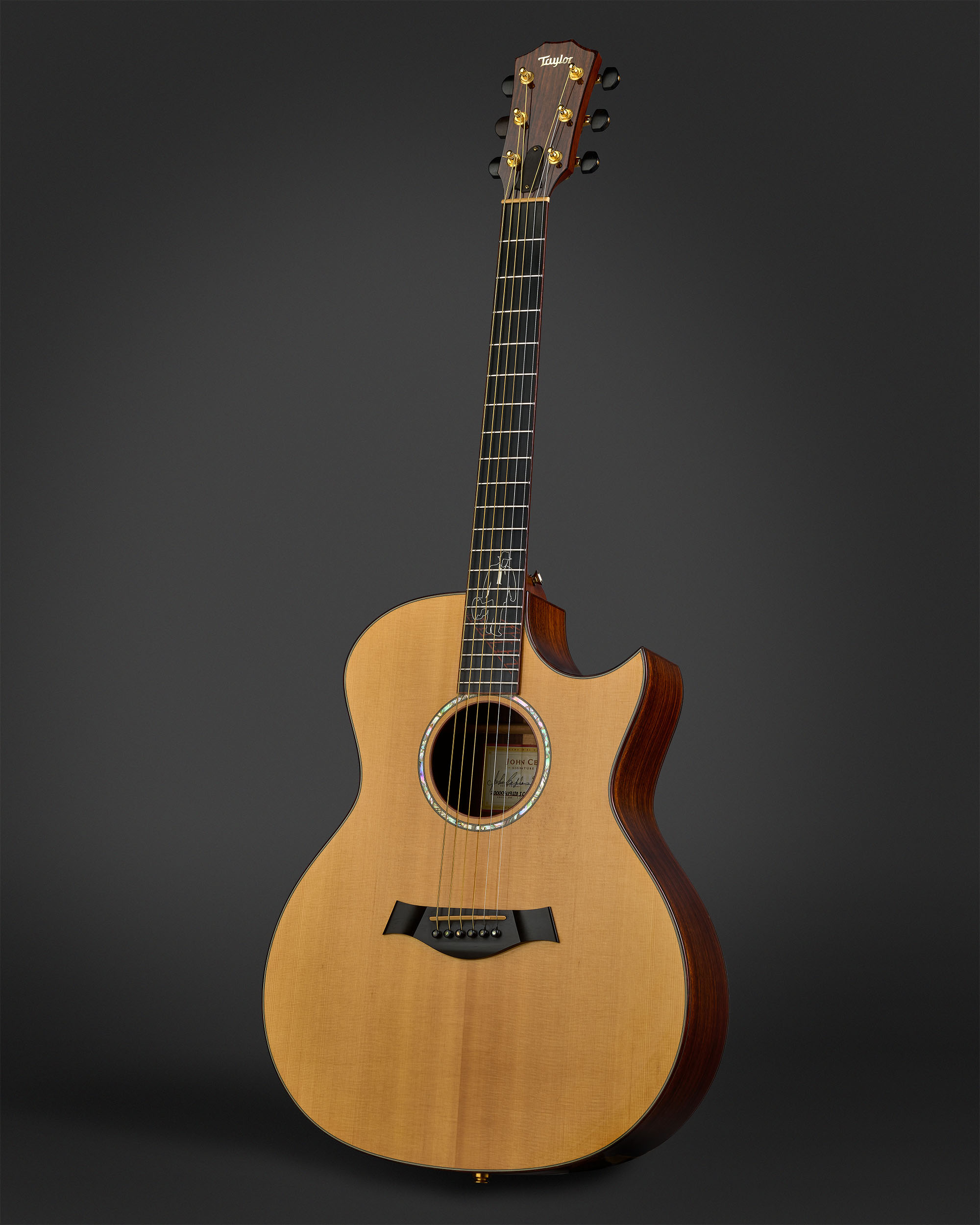 Taylor 914ce John Cephas Signature Model by Matthew Brown Photography